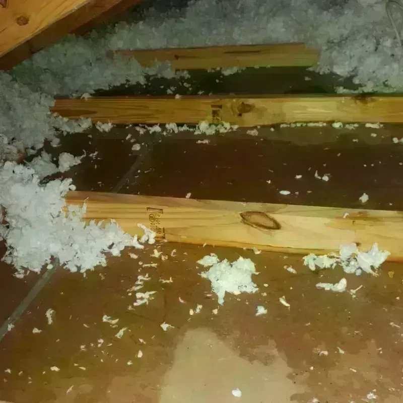 Attic Water Damage in The Dalles, OR