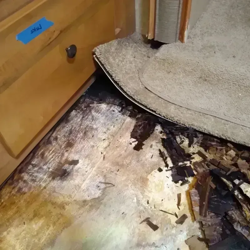 Wood Floor Water Damage in The Dalles, OR